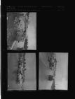 Car wreck (3 Negatives), August - December 1956, undated [Sleeve 13, Folder f, Box 11]